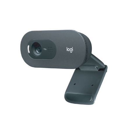 Logitech C505 HD Webcam with Long Range Mic